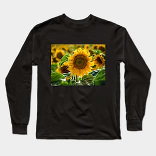 Sunflower Long Sleeve T-Shirt